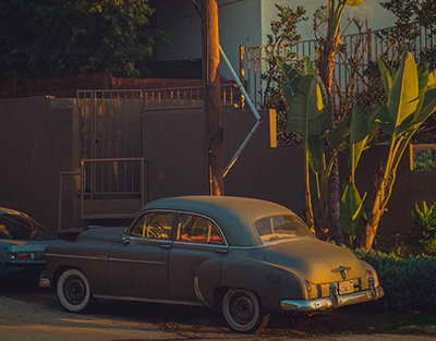 Крупнейшее плодохранилище будет запущено в конце апреля